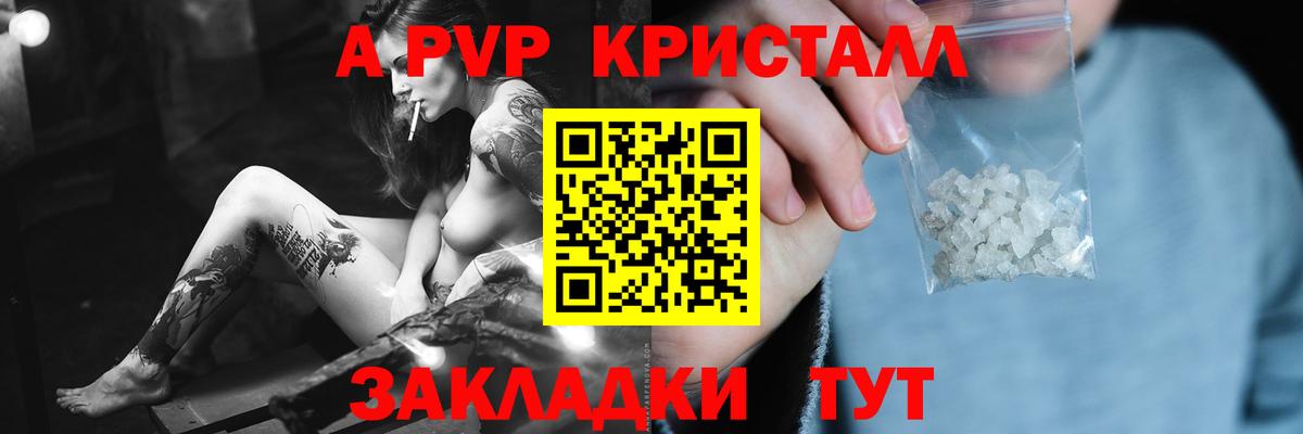 A PVP СК КРИС Тельмана